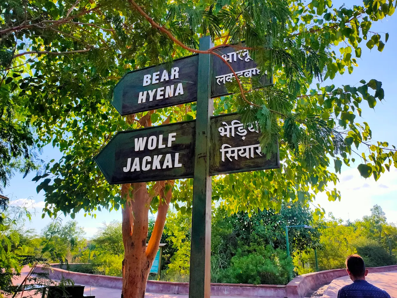 2nd image description