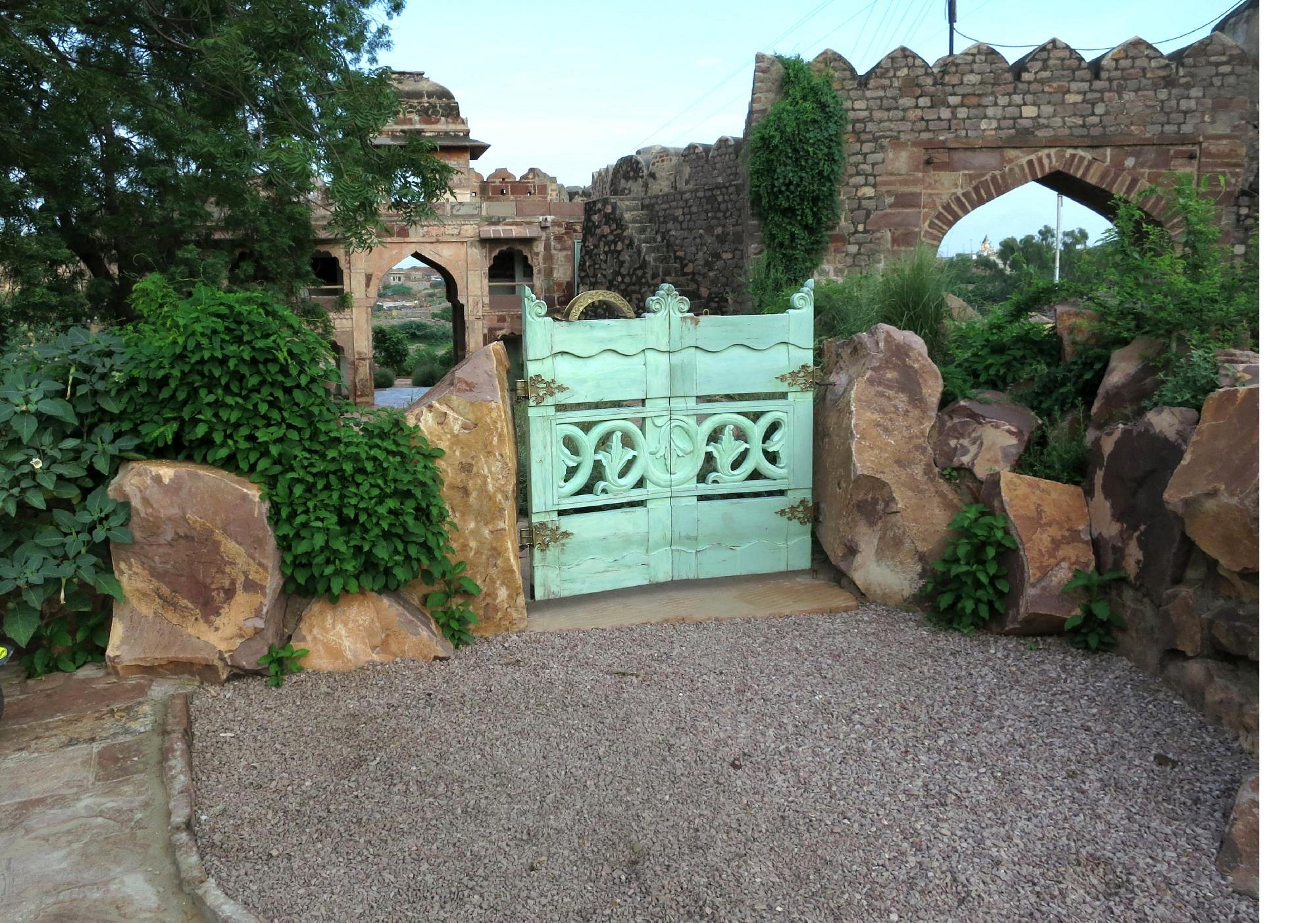 1st image description