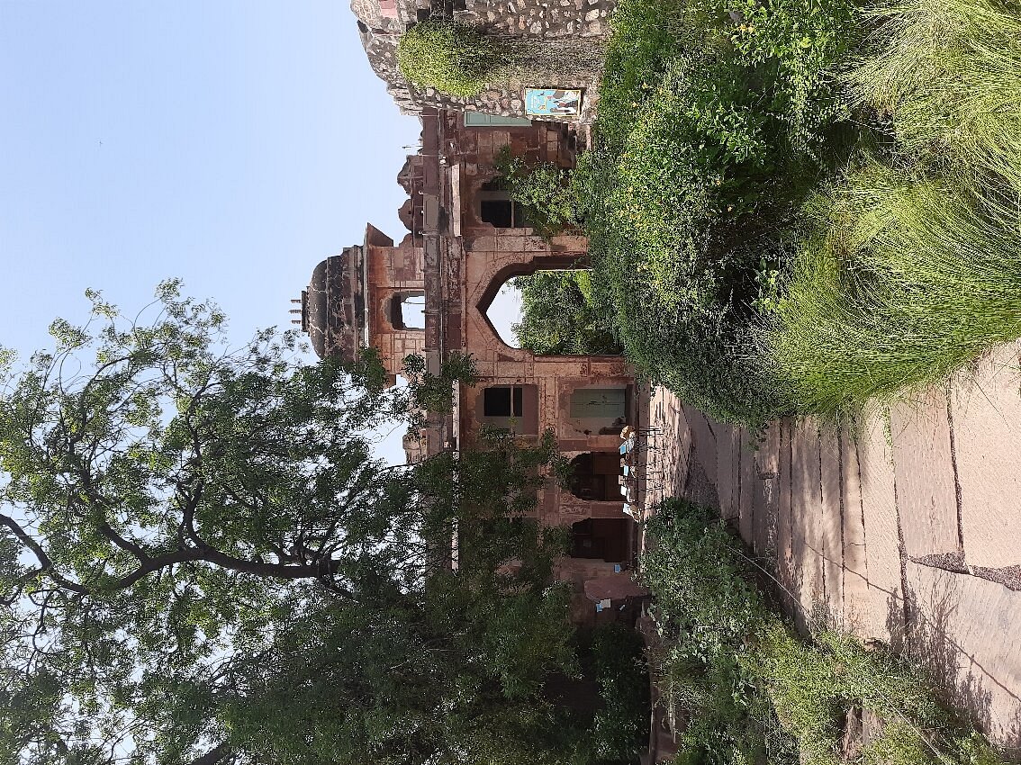 3rd image description